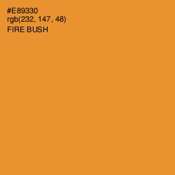 #E89330 - Fire Bush Color Image